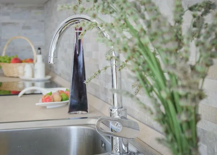 Dvina * Ντουμπρόβνικ